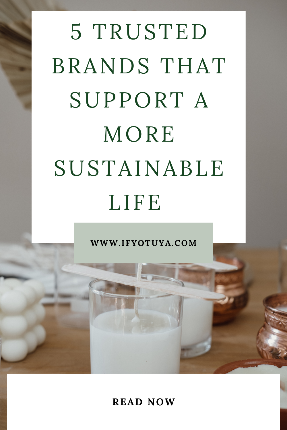 Sustainable Living Brands by Ify Otuya.